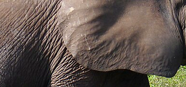 Central African Republic destination photograph