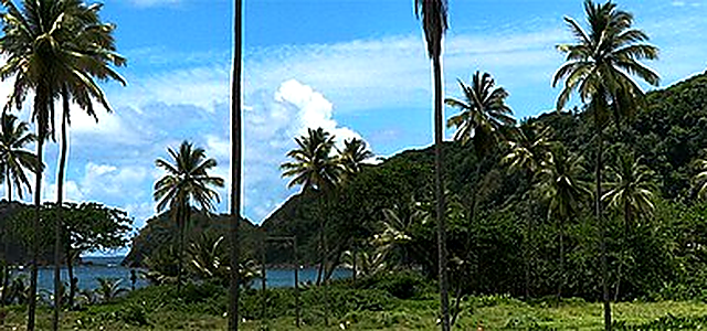 Dominica destination photograph