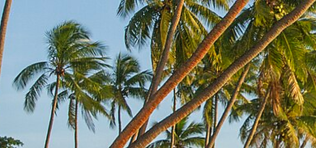 Fiji destination photograph