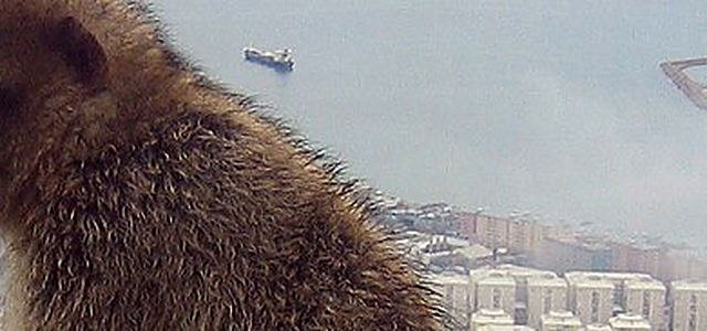 Gibraltar destination photograph