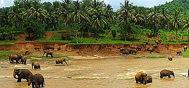 Sri Lanka destination photograph