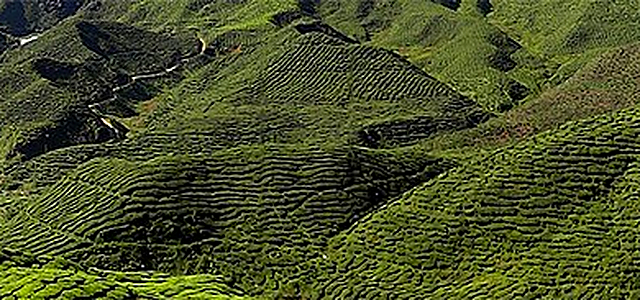 Malaysia destination photograph