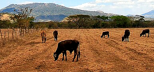 Nicaragua destination photograph