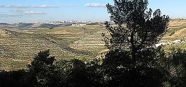 Palestine, State of destination photograph