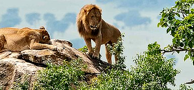 Uganda destination photograph